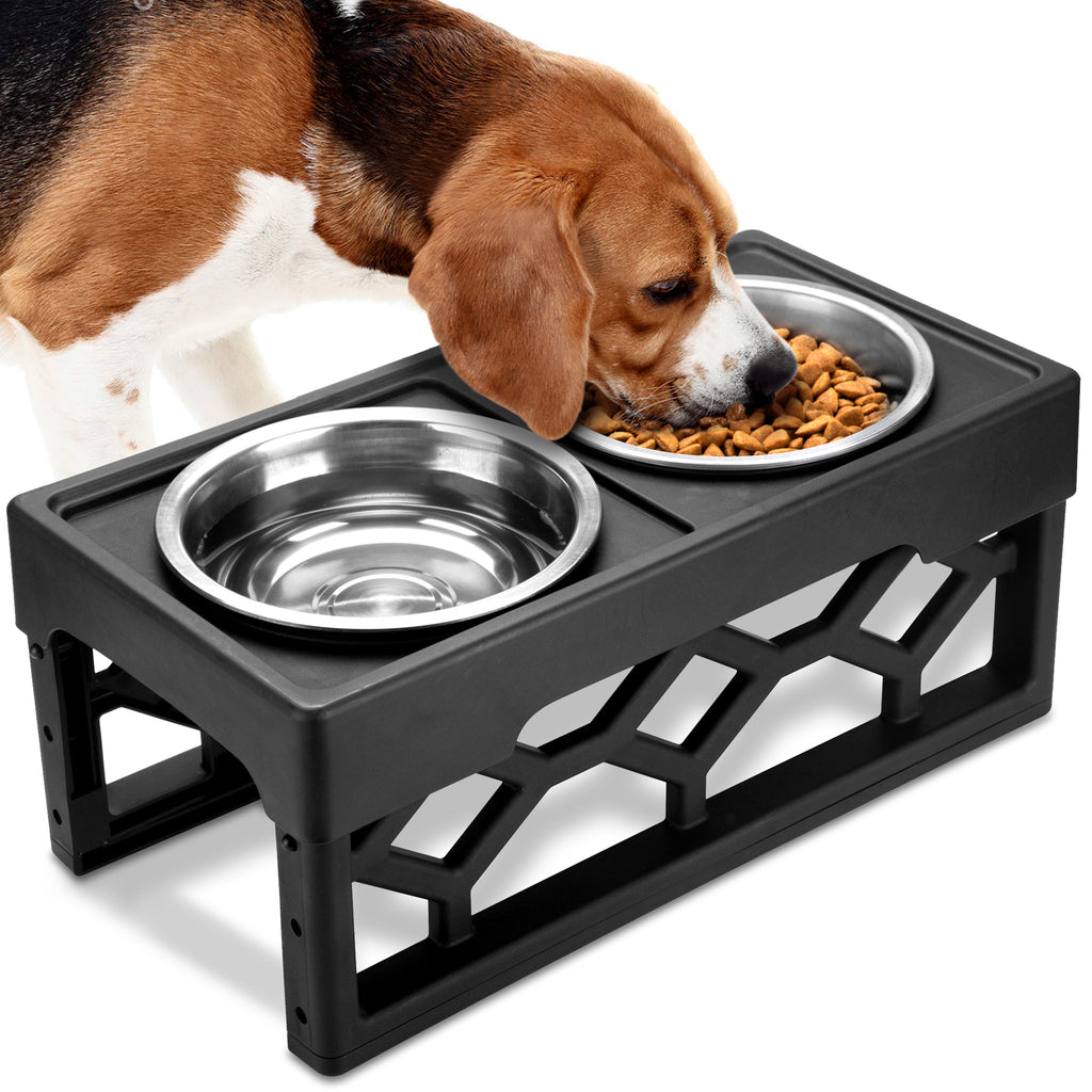 Should dogs eat from Elevated Dog Bowls?